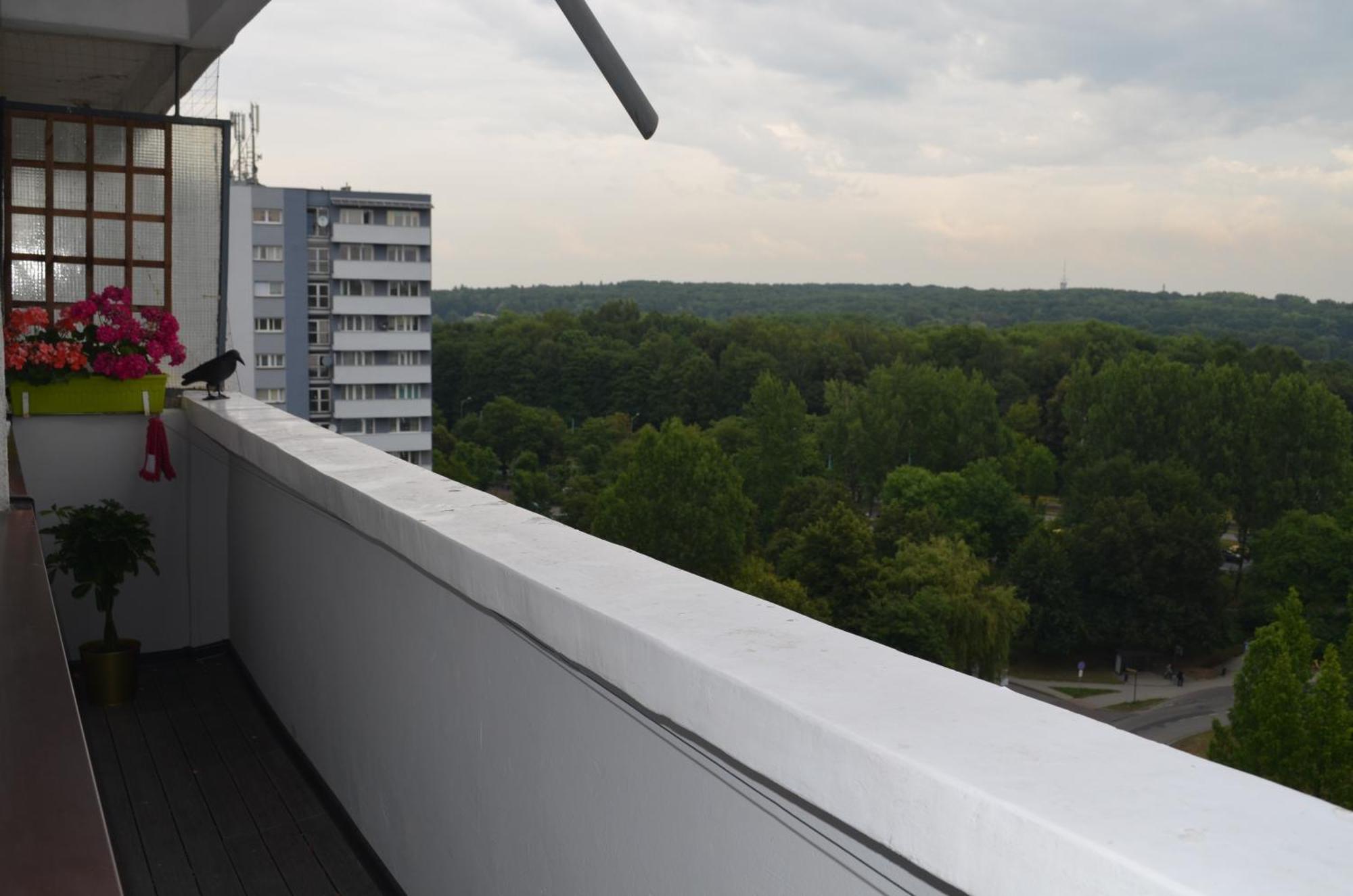 Apartment Silesia Park - Free Parking - Easy Check-In Катовіце Екстер'єр фото